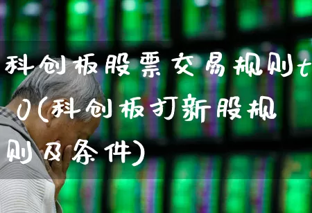 科创板股票交易规则t 0(科创板打新股规则及条件)_https://www.wanyuyiyao.com_科创板_第1张