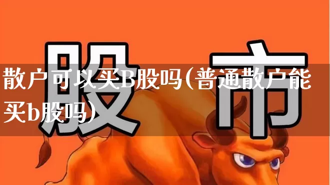 散户可以买B股吗(普通散户能买b股吗)_https://www.wanyuyiyao.com_创业板_第1张