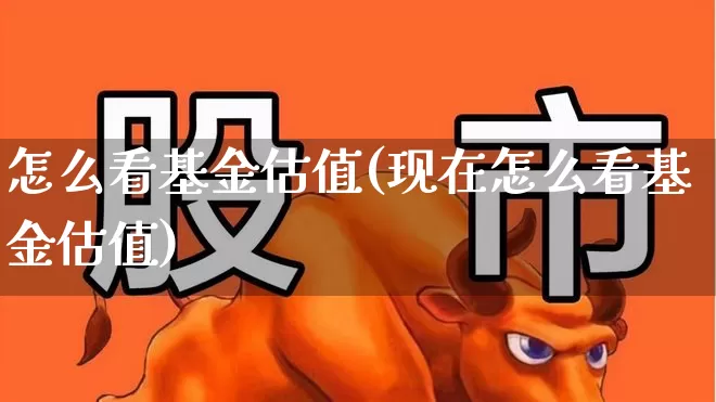 怎么看基金估值(现在怎么看基金估值)_https://www.wanyuyiyao.com_科创板_第1张