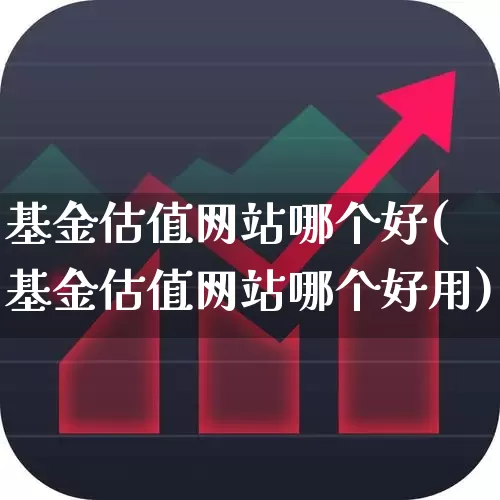 基金估值网站哪个好(基金估值网站哪个好用)_https://www.wanyuyiyao.com_北交所_第1张