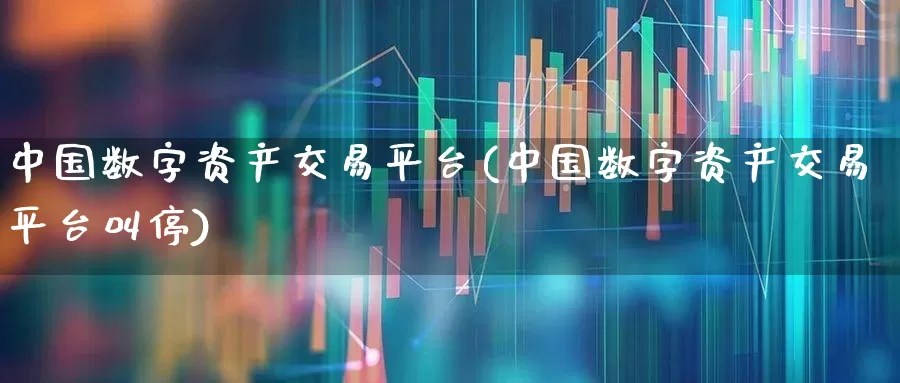 中国数字资产交易平台(中国数字资产交易平台叫停)_https://www.wanyuyiyao.com_深交所_第1张