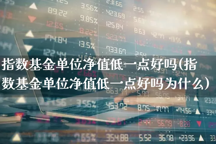 指数基金单位净值低一点好吗(指数基金单位净值低一点好吗为什么)_https://www.wanyuyiyao.com_创业板_第1张