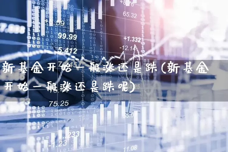 新基金开始一般涨还是跌(新基金开始一般涨还是跌呢)_https://www.wanyuyiyao.com_北交所_第1张