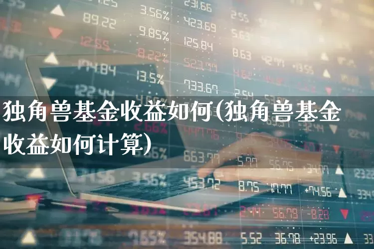 独角兽基金收益如何(独角兽基金收益如何计算)_https://www.wanyuyiyao.com_上交所_第1张