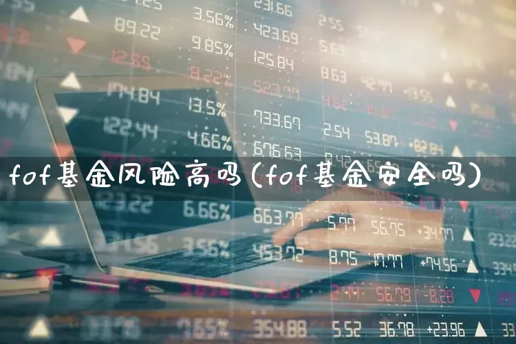 fof基金风险高吗(fof基金安全吗)_https://www.wanyuyiyao.com_科创板_第1张
