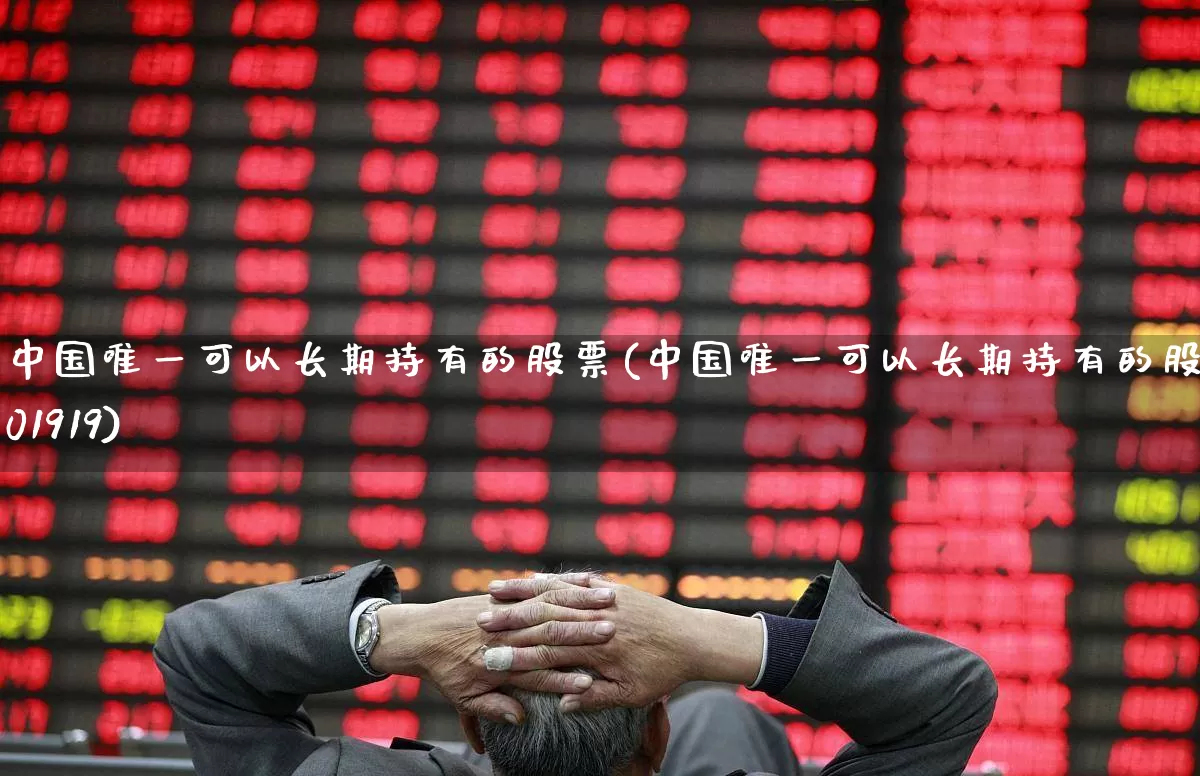 中国唯一可以长期持有的股票(中国唯一可以长期持有的股票601919)_https://www.wanyuyiyao.com_科创板_第1张