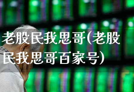 老股民我思哥(老股民我思哥百家号)_https://www.wanyuyiyao.com_创业板_第1张
