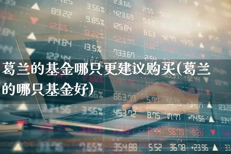 葛兰的基金哪只更建议购买(葛兰的哪只基金好)_https://www.wanyuyiyao.com_深交所_第1张