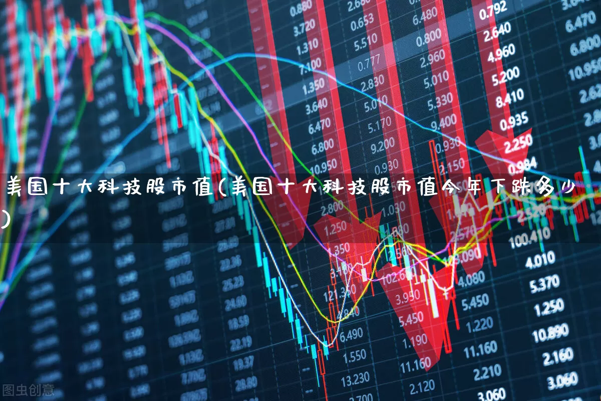 美国十大科技股市值(美国十大科技股市值今年下跌多少)_https://www.wanyuyiyao.com_科创板_第1张