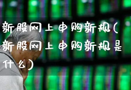 新股网上申购新规(新股网上申购新规是什么)_https://www.wanyuyiyao.com_深交所_第1张