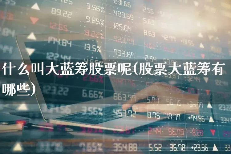 什么叫大蓝筹股票呢(股票大蓝筹有哪些)_https://www.wanyuyiyao.com_科创板_第1张