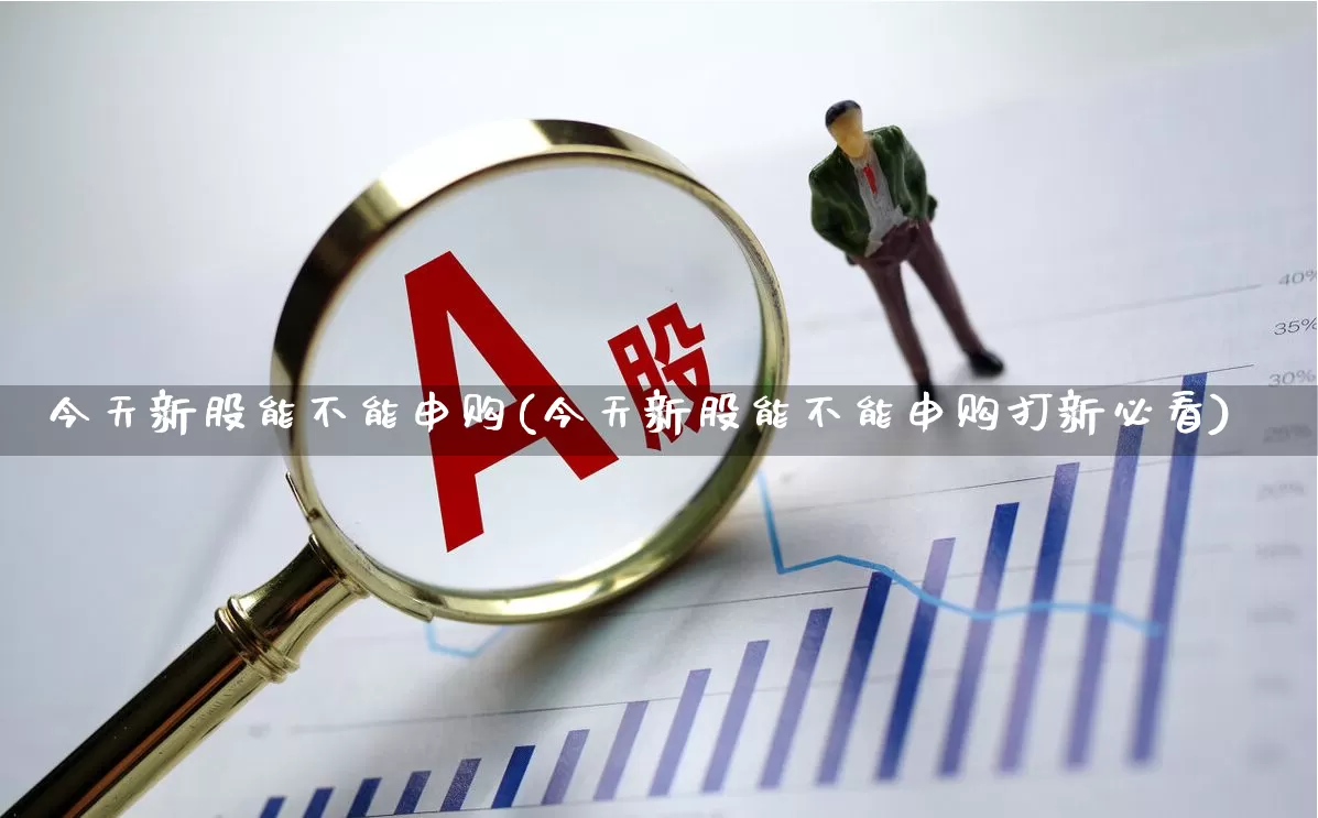今天新股能不能申购(今天新股能不能申购打新必看)_https://www.wanyuyiyao.com_北交所_第1张