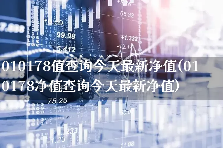 010178值查询今天最新净值(010178净值查询今天最新净值)_https://www.wanyuyiyao.com_科创板_第1张