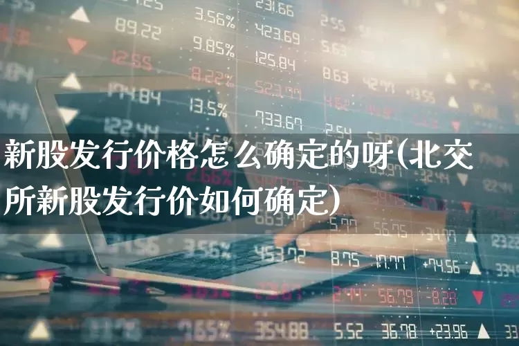 新股发行价格怎么确定的呀(北交所新股发行价如何确定)_https://www.wanyuyiyao.com_创业板_第1张
