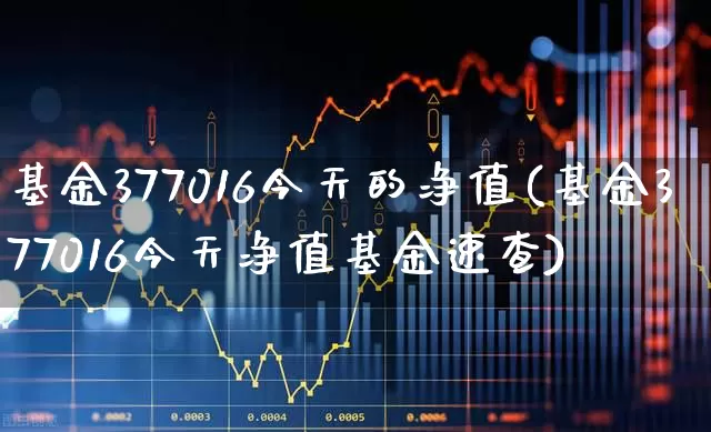 基金377016今天的净值(基金377016今天净值基金速查)_https://www.wanyuyiyao.com_科创板_第1张