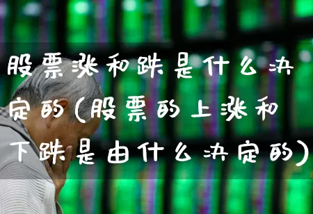 股票涨和跌是什么决定的(股票的上涨和下跌是由什么决定的)_https://www.wanyuyiyao.com_上交所_第1张