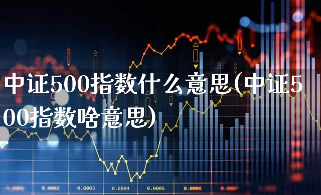 中证500指数什么意思(中证500指数啥意思)_https://www.wanyuyiyao.com_深交所_第1张