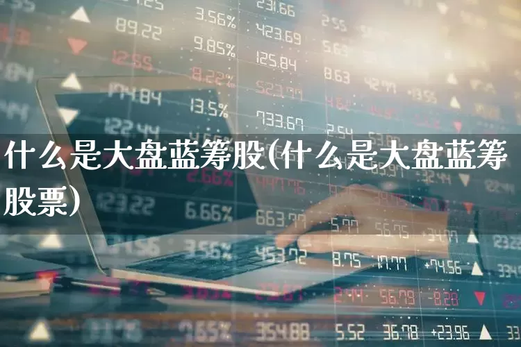 什么是大盘蓝筹股(什么是大盘蓝筹股票)_https://www.wanyuyiyao.com_科创板_第1张
