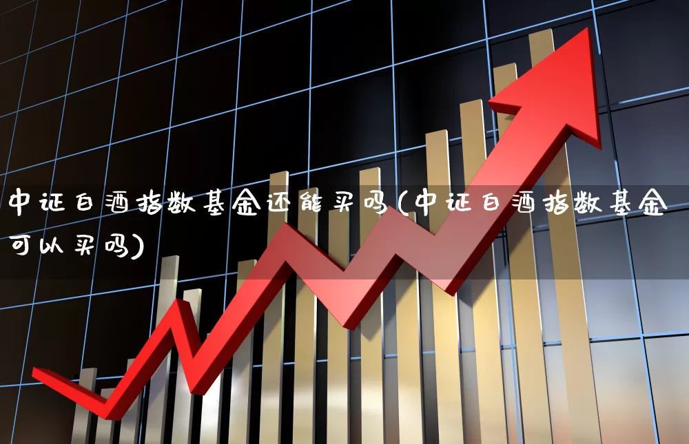 中证白酒指数基金还能买吗(中证白酒指数基金可以买吗)_https://www.wanyuyiyao.com_上交所_第1张