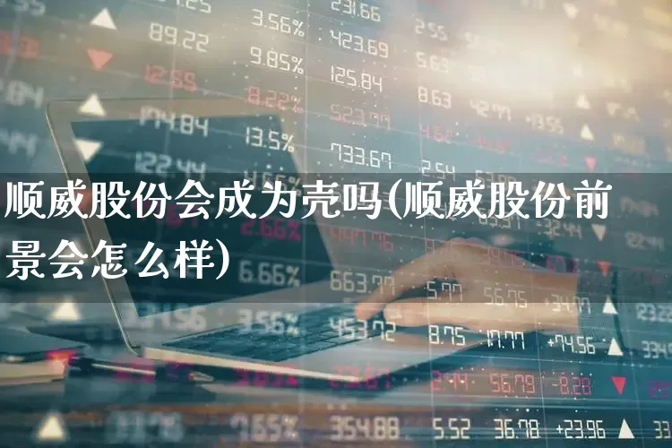 顺威股份会成为壳吗(顺威股份前景会怎么样)_https://www.wanyuyiyao.com_科创板_第1张