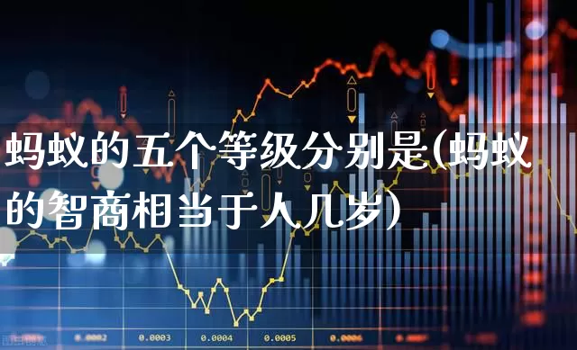 蚂蚁的五个等级分别是(蚂蚁的智商相当于人几岁)_https://www.wanyuyiyao.com_科创板_第1张
