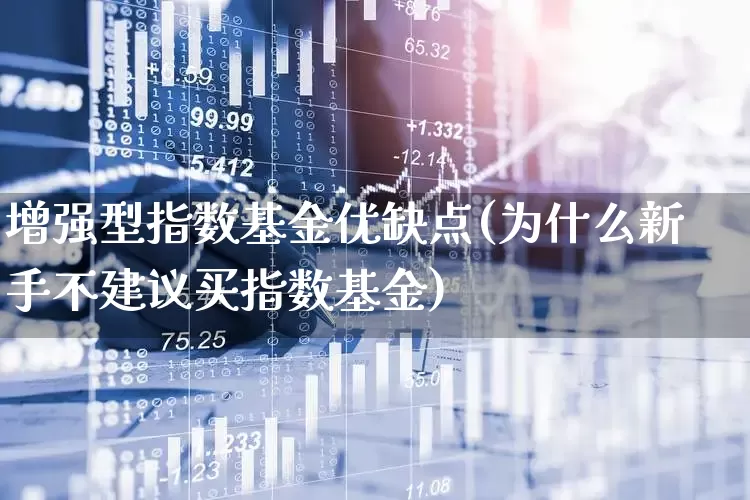增强型指数基金优缺点(为什么新手不建议买指数基金)_https://www.wanyuyiyao.com_深交所_第1张
