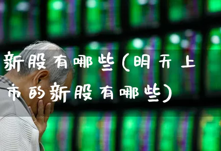 新股有哪些(明天上市的新股有哪些)_https://www.wanyuyiyao.com_深交所_第1张