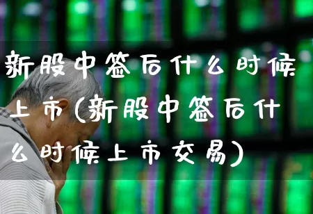 新股中签后什么时候上市(新股中签后什么时候上市交易)_https://www.wanyuyiyao.com_上交所_第1张