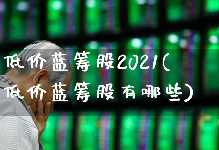 低价蓝筹股2021(低价蓝筹股有哪些)_https://www.wanyuyiyao.com_北交所_第1张