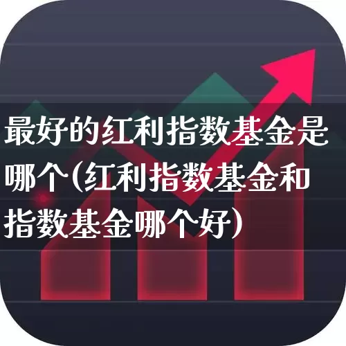 最好的红利指数基金是哪个(红利指数基金和指数基金哪个好)_https://www.wanyuyiyao.com_上交所_第1张