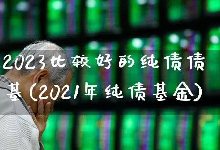 2023比较好的纯债债基(2021年纯债基金)_https://www.wanyuyiyao.com_深交所_第1张