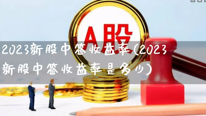 2023新股中签收益率(2023新股中签收益率是多少)_https://www.wanyuyiyao.com_科创板_第1张