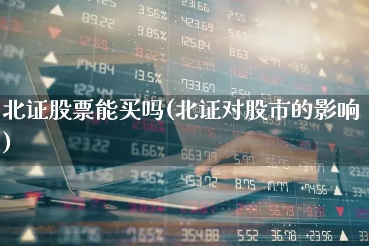 北证股票能买吗(北证对股市的影响)_https://www.wanyuyiyao.com_创业板_第1张