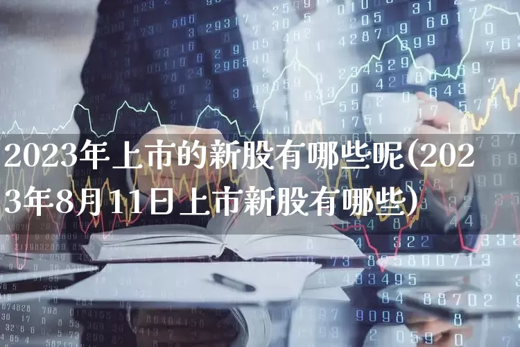 2023年上市的新股有哪些呢(2023年8月11日上市新股有哪些)_https://www.wanyuyiyao.com_北交所_第1张