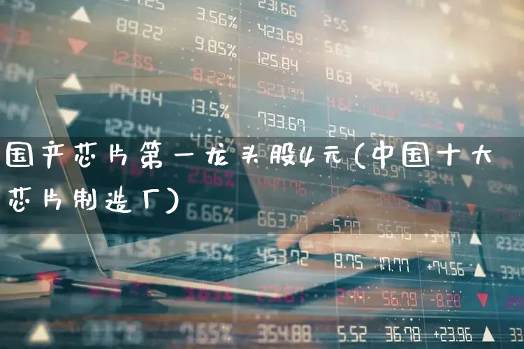 国产芯片第一龙头股4元(中国十大芯片制造厂)_https://www.wanyuyiyao.com_上交所_第1张