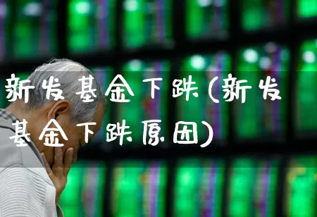 新发基金下跌(新发基金下跌原因)_https://www.wanyuyiyao.com_科创板_第1张