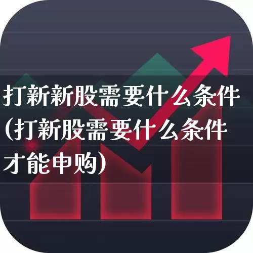 打新新股需要什么条件(打新股需要什么条件才能申购)_https://www.wanyuyiyao.com_北交所_第1张