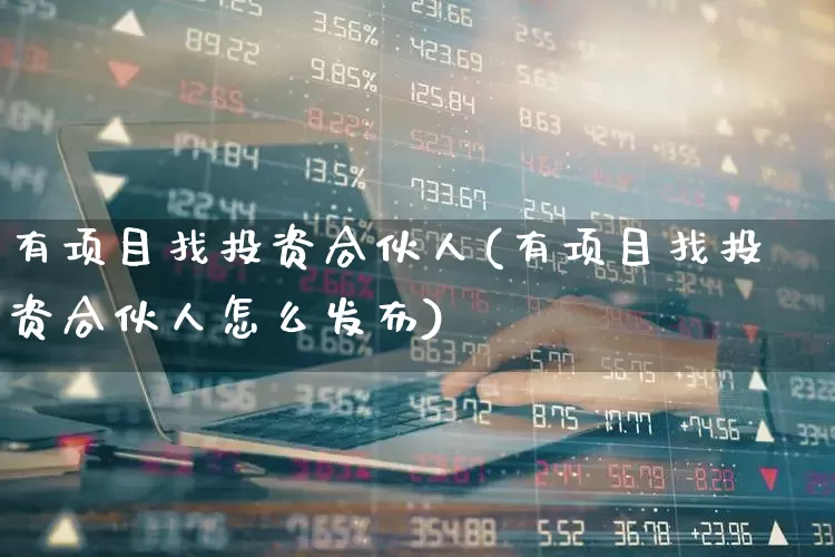 有项目找投资合伙人(有项目找投资合伙人怎么发布)_https://www.wanyuyiyao.com_上交所_第1张