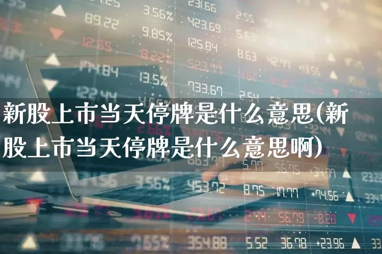 新股上市当天停牌是什么意思(新股上市当天停牌是什么意思啊)_https://www.wanyuyiyao.com_科创板_第1张