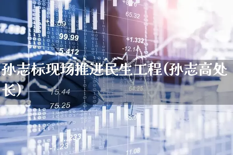 孙志标现场推进民生工程(孙志高处长)_https://www.wanyuyiyao.com_上交所_第1张