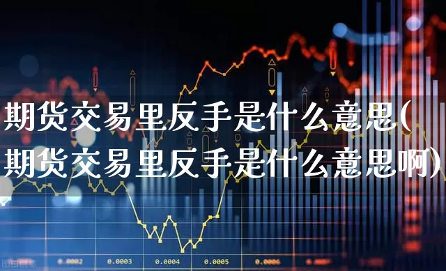 期货交易里反手是什么意思(期货交易里反手是什么意思啊)_https://www.wanyuyiyao.com_上交所_第1张