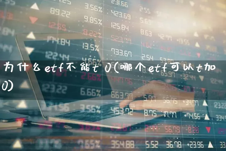 为什么etf不能t 0(哪个etf可以t加0)_https://www.wanyuyiyao.com_深交所_第1张