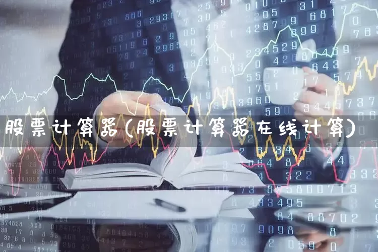 股票计算器(股票计算器在线计算)_https://www.wanyuyiyao.com_创业板_第1张