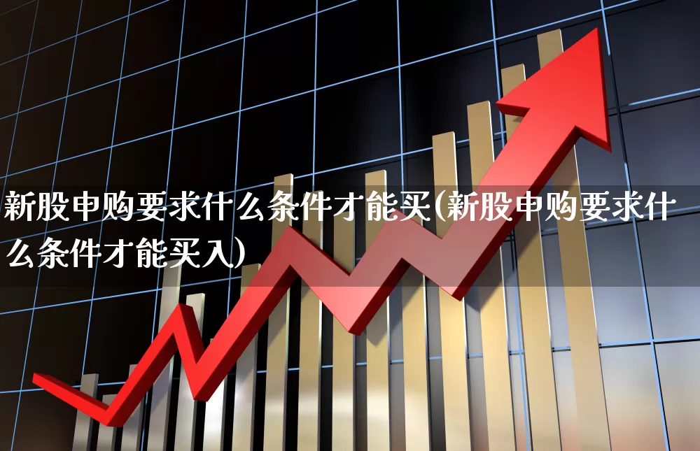 新股申购要求什么条件才能买(新股申购要求什么条件才能买入)_https://www.wanyuyiyao.com_深交所_第1张