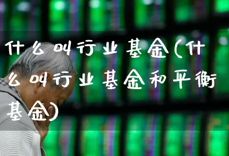 什么叫行业基金(什么叫行业基金和平衡基金)_https://www.wanyuyiyao.com_深交所_第1张