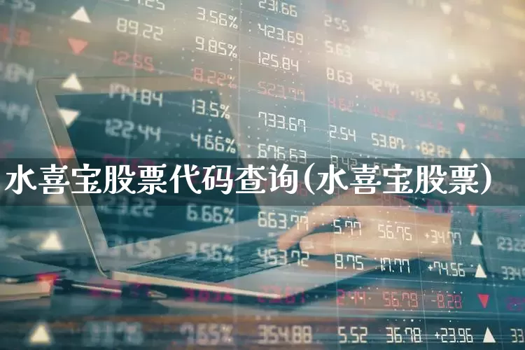 水喜宝股票代码查询(水喜宝股票)_https://www.wanyuyiyao.com_上交所_第1张