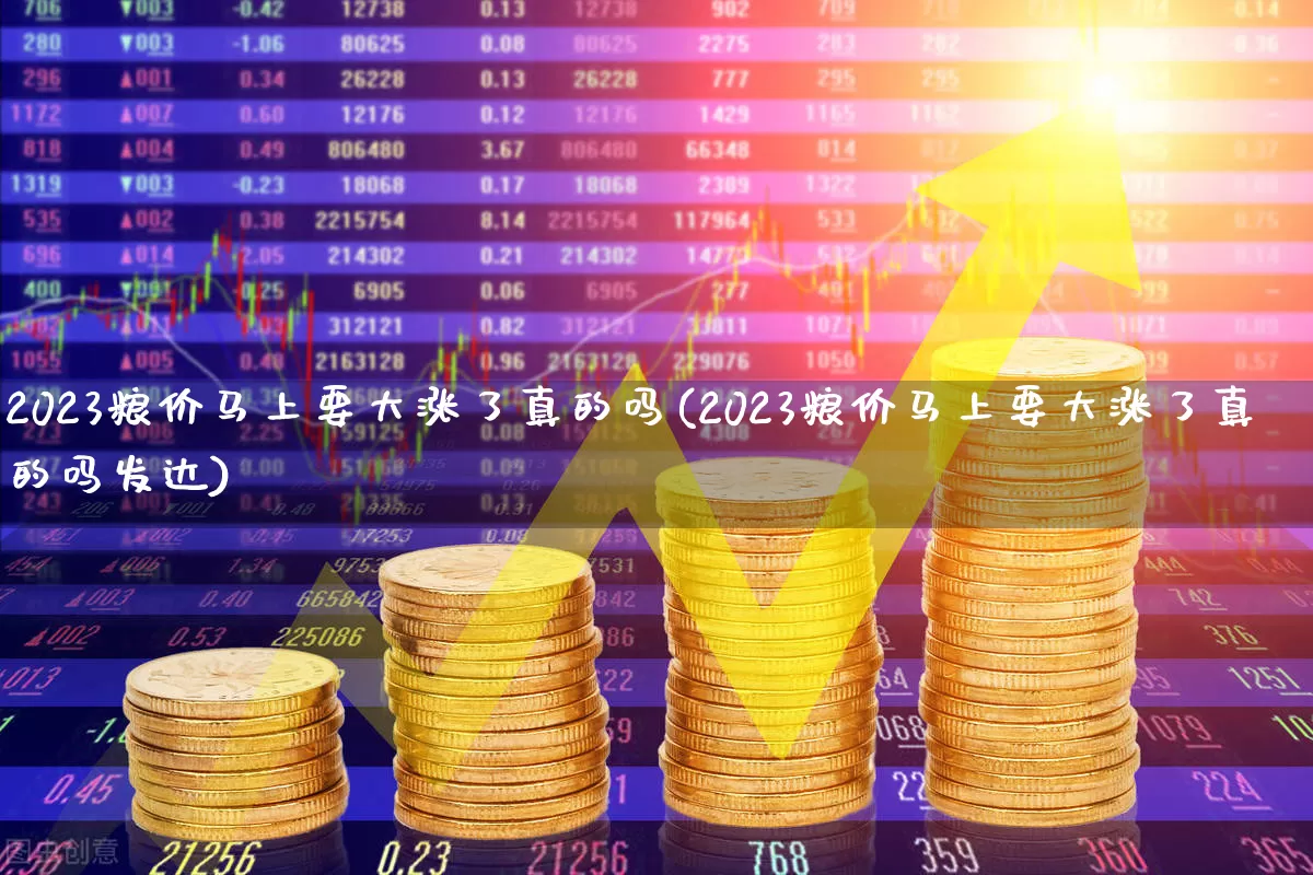 2023粮价马上要大涨了真的吗(2023粮价马上要大涨了真的吗发达)_https://www.wanyuyiyao.com_上交所_第1张
