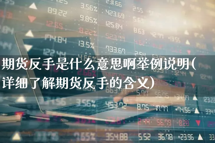 期货反手是什么意思啊举例说明(详细了解期货反手的含义)_https://www.wanyuyiyao.com_创业板_第1张