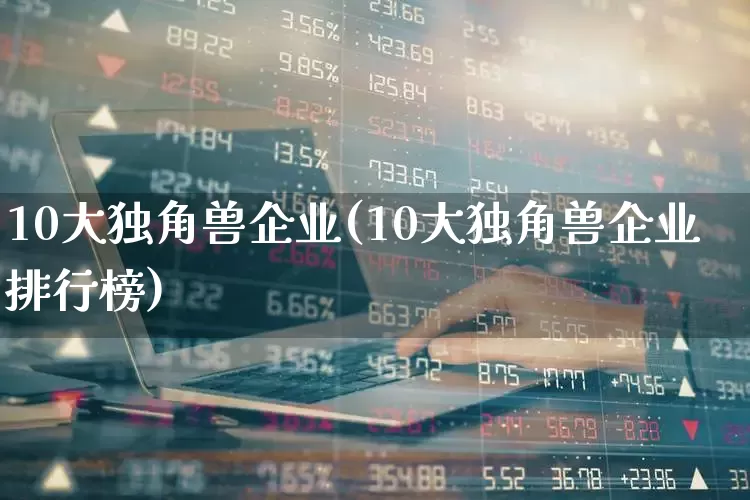 10大独角兽企业(10大独角兽企业排行榜)_https://www.wanyuyiyao.com_北交所_第1张