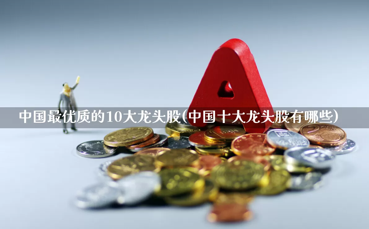 中国最优质的10大龙头股(中国十大龙头股有哪些)_https://www.wanyuyiyao.com_科创板_第1张